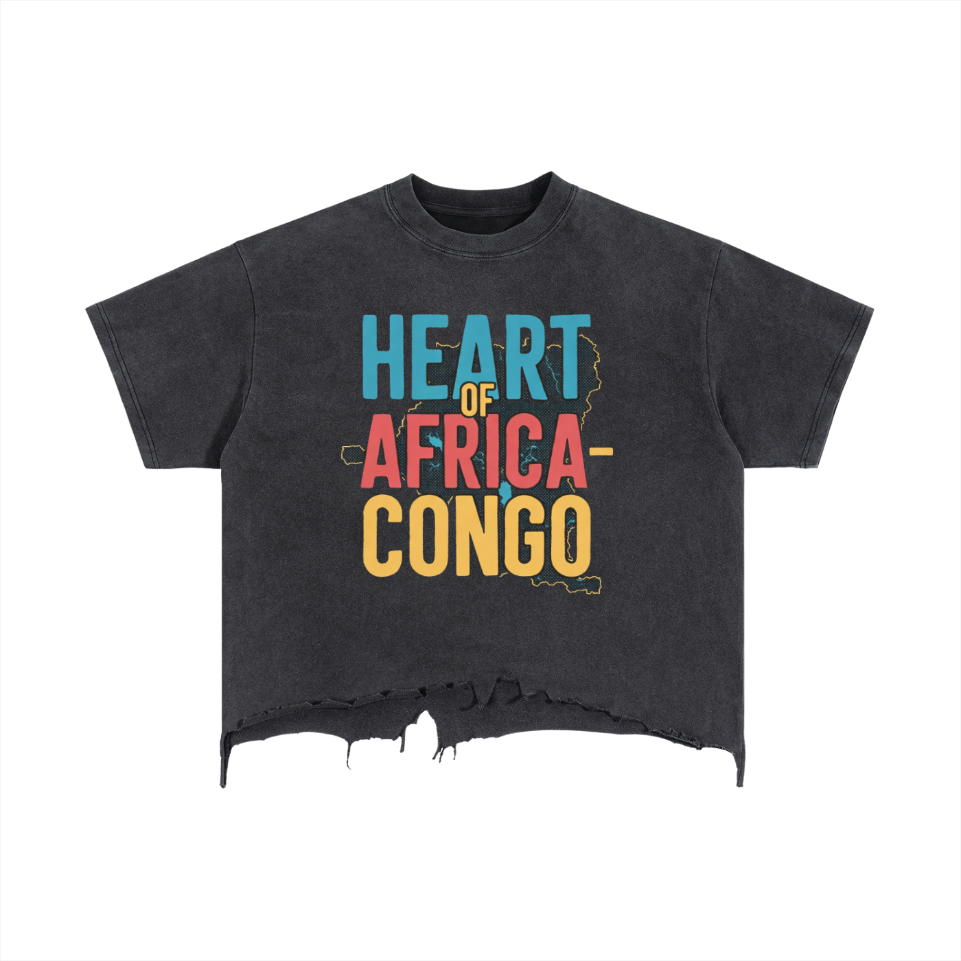 243 Culture Collection